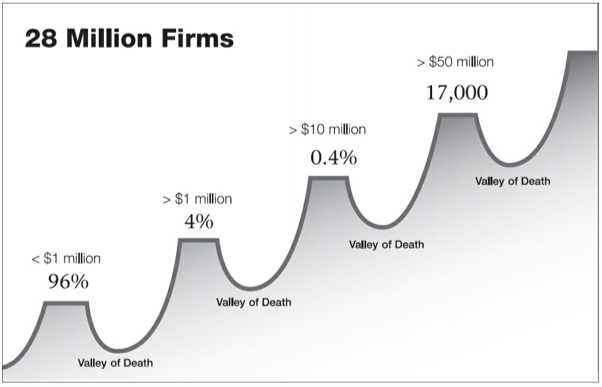 28 Million US Firms by Revenue